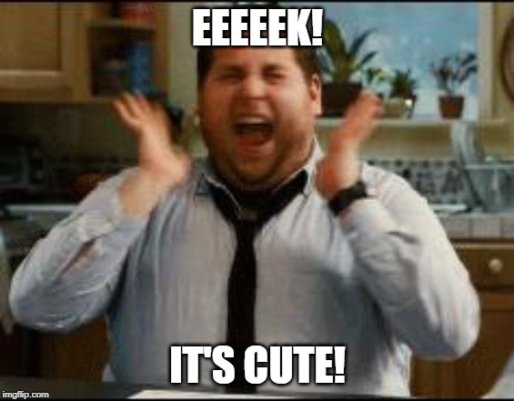 excited | EEEEEK! IT'S CUTE! | image tagged in excited | made w/ Imgflip meme maker