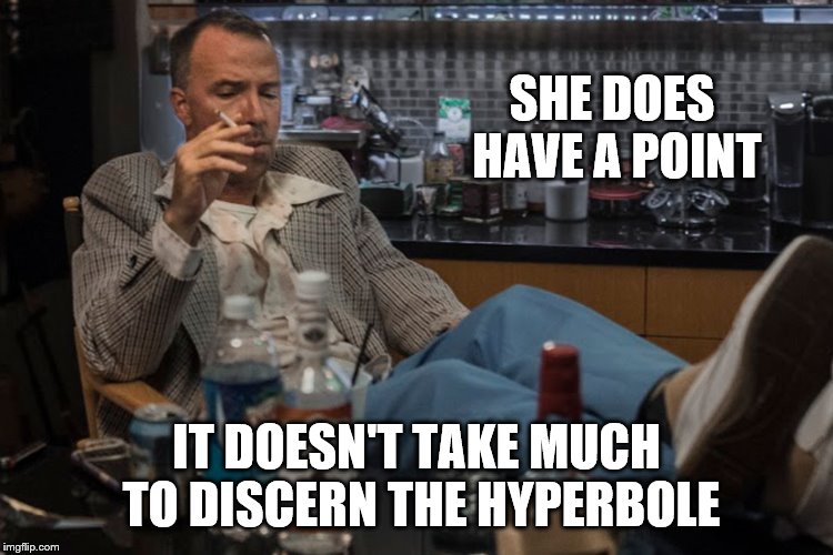 SHE DOES HAVE A POINT IT DOESN'T TAKE MUCH TO DISCERN THE HYPERBOLE | made w/ Imgflip meme maker