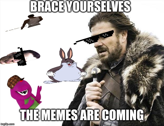 Brace Yourselves X is Coming | BRACE YOURSELVES; THE MEMES ARE COMING | image tagged in memes,brace yourselves x is coming | made w/ Imgflip meme maker