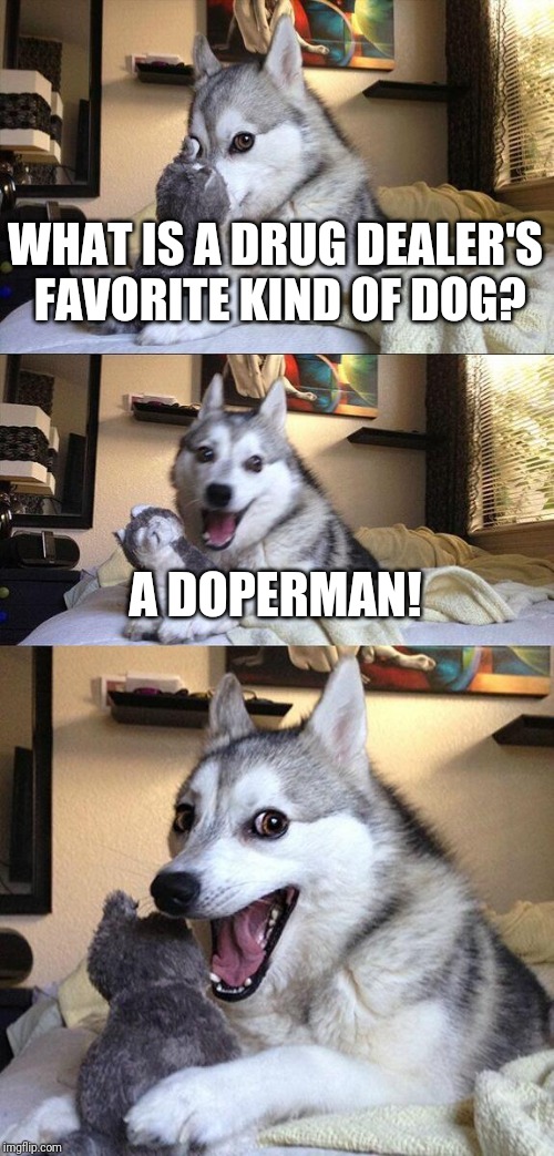 Bad Pun Dog | WHAT IS A DRUG DEALER'S FAVORITE KIND OF DOG? A DOPERMAN! | image tagged in memes,bad pun dog | made w/ Imgflip meme maker