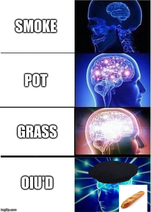 Expanding Brain | SMOKE; POT; GRASS; OIU'D | image tagged in memes,expanding brain | made w/ Imgflip meme maker