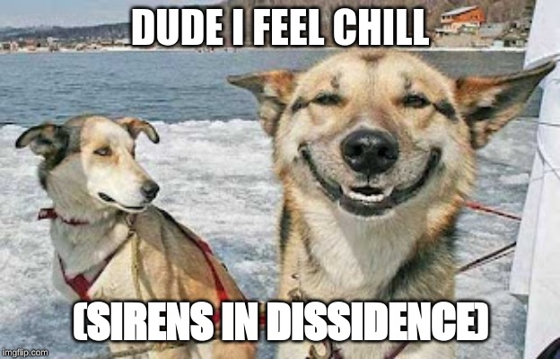Original Stoner Dog Meme | DUDE I FEEL CHILL; (SIRENS IN DISSIDENCE) | image tagged in memes,original stoner dog | made w/ Imgflip meme maker