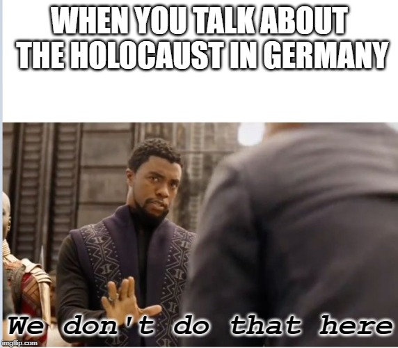 We don't do that here | WHEN YOU TALK ABOUT THE HOLOCAUST IN GERMANY; We don't do that here | image tagged in we don't do that here | made w/ Imgflip meme maker