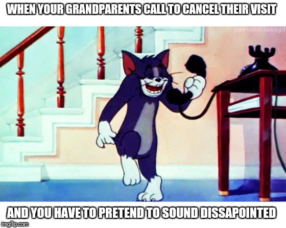 WHEN YOUR GRANDPARENTS CALL TO CANCEL THEIR VISIT; AND YOU HAVE TO PRETEND TO SOUND DISSAPOINTED | image tagged in grandparents | made w/ Imgflip meme maker
