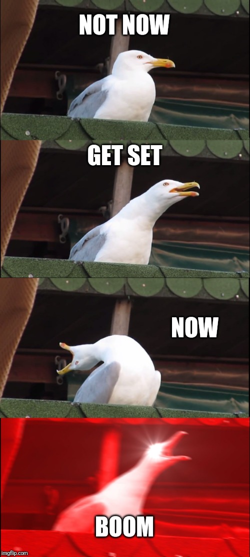 Inhaling Seagull Meme | NOT NOW; GET SET; NOW; BOOM | image tagged in memes,inhaling seagull | made w/ Imgflip meme maker