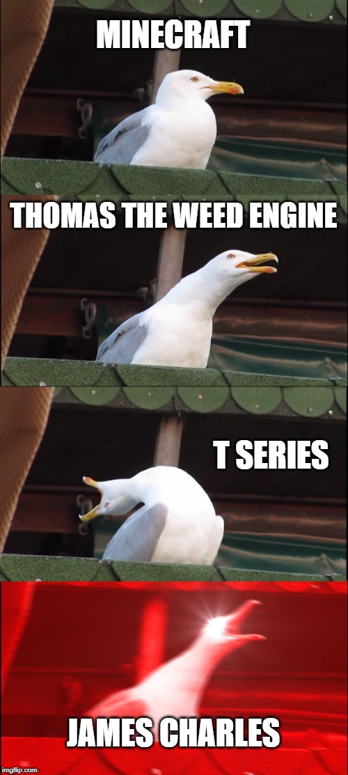 Inhaling Seagull |  MINECRAFT; THOMAS THE WEED ENGINE; T SERIES; JAMES CHARLES | image tagged in memes,inhaling seagull | made w/ Imgflip meme maker