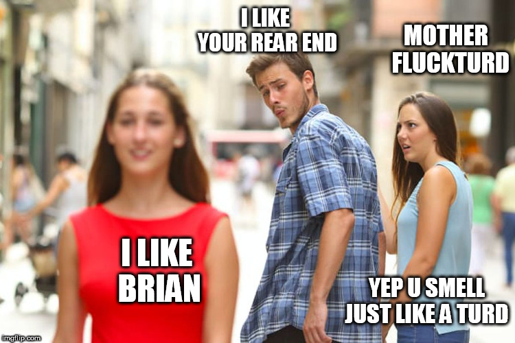 Distracted Boyfriend Meme | I LIKE BRIAN I LIKE YOUR REAR END MOTHER  FLUCKTURD YEP U SMELL JUST LIKE A TURD | image tagged in memes,distracted boyfriend | made w/ Imgflip meme maker
