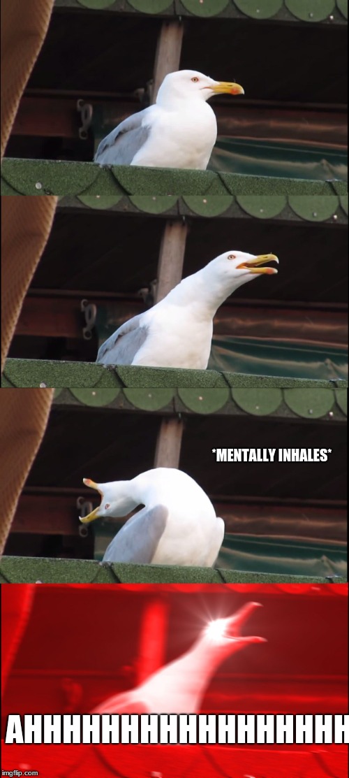 Inhaling Seagull | *MENTALLY INHALES*; AHHHHHHHHHHHHHHHHHHH | image tagged in memes,inhaling seagull | made w/ Imgflip meme maker