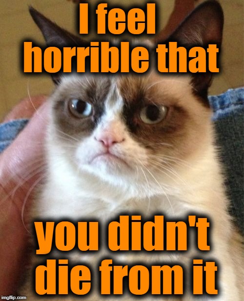 Grumpy Cat Meme | I feel horrible that you didn't die from it | image tagged in memes,grumpy cat | made w/ Imgflip meme maker