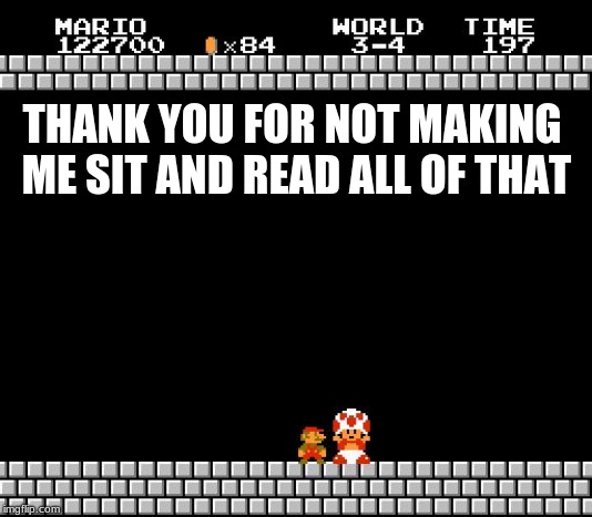Thank You Mario | THANK YOU FOR NOT MAKING ME SIT AND READ ALL OF THAT | image tagged in thank you mario | made w/ Imgflip meme maker