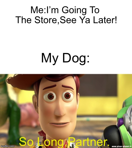 So long, partner | Me:I’m Going To The Store,See Ya Later! My Dog:; So Long,Partner. | image tagged in so long partner,dog,sad,doggo week | made w/ Imgflip meme maker