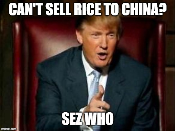 Donald Trump | CAN'T SELL RICE TO CHINA? SEZ WHO | image tagged in donald trump | made w/ Imgflip meme maker