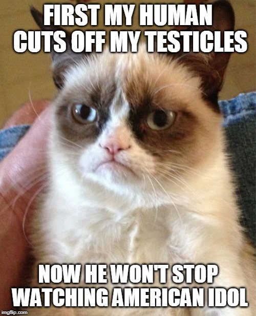 Grumpy Cat | FIRST MY HUMAN CUTS OFF MY TESTICLES; NOW HE WON'T STOP WATCHING AMERICAN IDOL | image tagged in memes,grumpy cat | made w/ Imgflip meme maker