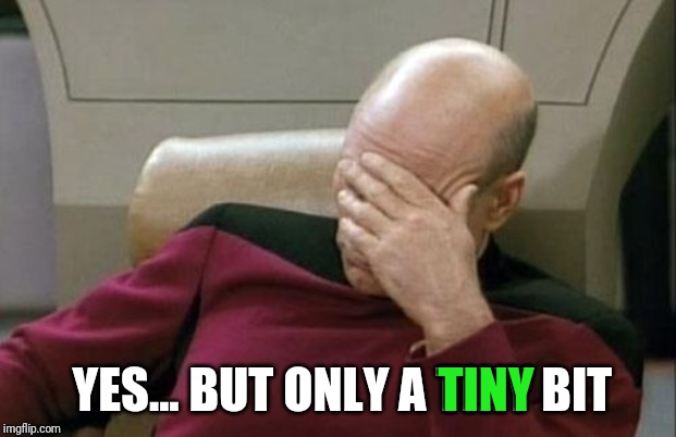 Captain Picard Facepalm Meme | YES... BUT ONLY A TINY BIT TINY | image tagged in memes,captain picard facepalm | made w/ Imgflip meme maker