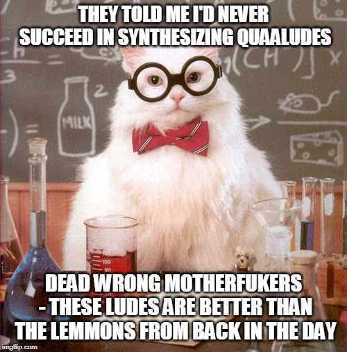 Science Cat | THEY TOLD ME I'D NEVER SUCCEED IN SYNTHESIZING QUAALUDES; DEAD WRONG MOTHERFUKERS - THESE LUDES ARE BETTER THAN THE LEMMONS FROM BACK IN THE DAY | image tagged in science cat | made w/ Imgflip meme maker