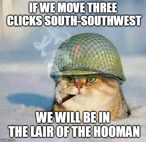 War Cat |  IF WE MOVE THREE CLICKS SOUTH-SOUTHWEST; WE WILL BE IN THE LAIR OF THE HOOMAN | image tagged in war cat | made w/ Imgflip meme maker