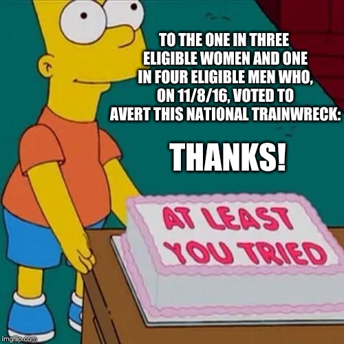 At least you tried | TO THE ONE IN THREE ELIGIBLE WOMEN AND ONE IN FOUR ELIGIBLE MEN WHO, ON 11/8/16, VOTED TO AVERT THIS NATIONAL TRAINWRECK:; THANKS! | image tagged in at least you tried | made w/ Imgflip meme maker