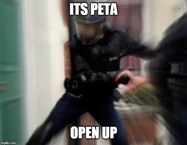 ITS PETA OPEN UP | made w/ Imgflip meme maker