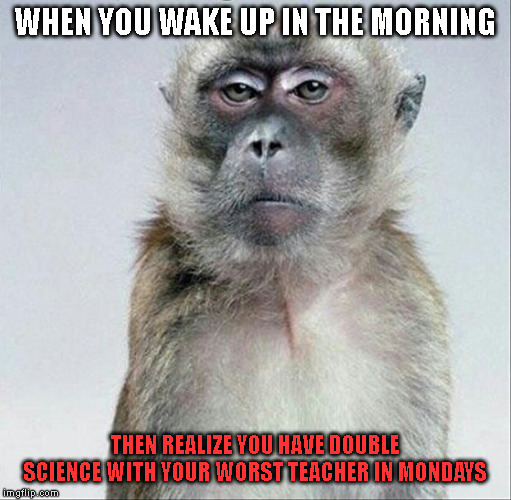 Blank face stare | WHEN YOU WAKE UP IN THE MORNING; THEN REALIZE YOU HAVE DOUBLE SCIENCE WITH YOUR WORST TEACHER IN MONDAYS | image tagged in blank face stare | made w/ Imgflip meme maker