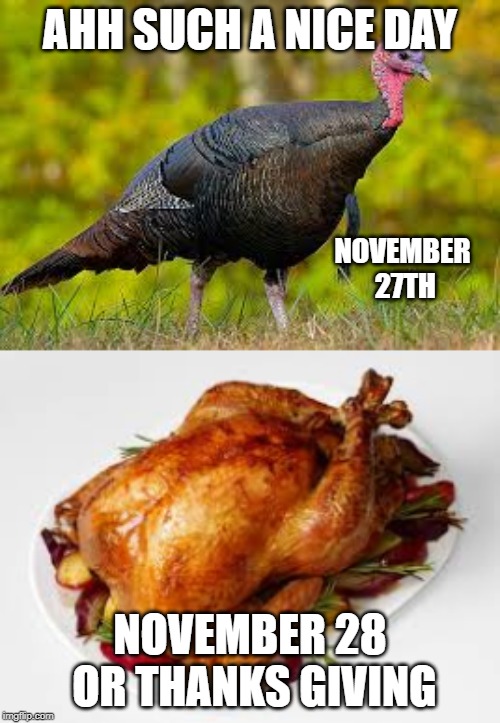 Day before thanks giving | AHH SUCH A NICE DAY; NOVEMBER 27TH; NOVEMBER 28 OR THANKS GIVING | image tagged in thanksgiving,birds,food | made w/ Imgflip meme maker
