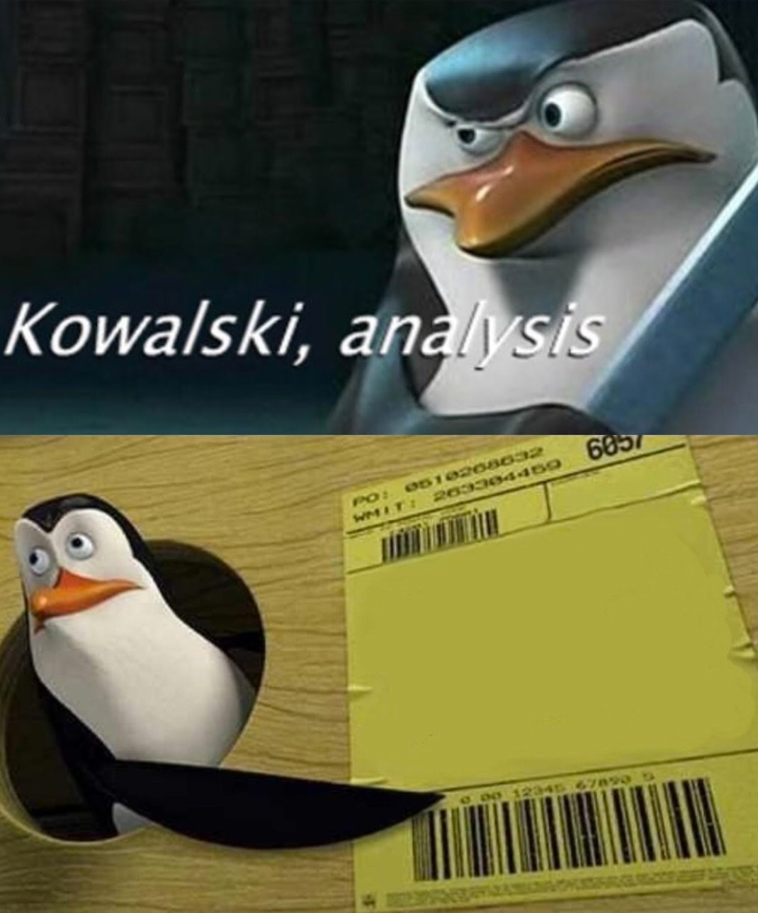 Kowalski Analysis Blank Meme Template