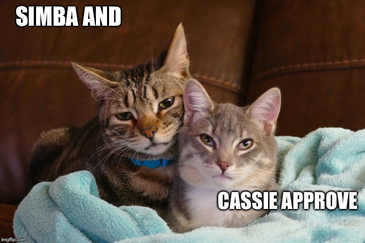 SIMBA AND CASSIE APPROVE | made w/ Imgflip meme maker