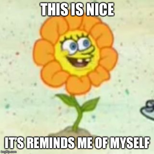 Flower Spongebob | THIS IS NICE IT’S REMINDS ME OF MYSELF | image tagged in flower spongebob | made w/ Imgflip meme maker