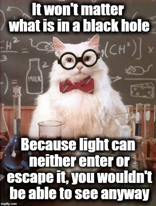 Science Cat Good Day | It won't matter what is in a black hole Because light can neither enter or escape it, you wouldn't be able to see anyway | image tagged in science cat good day | made w/ Imgflip meme maker