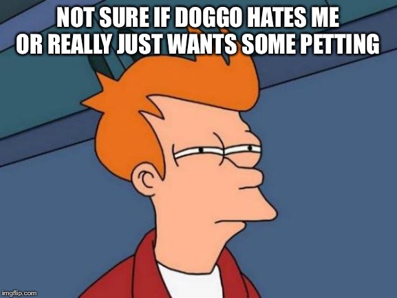 Futurama Fry Meme | NOT SURE IF DOGGO HATES ME OR REALLY JUST WANTS SOME PETTING | image tagged in memes,futurama fry | made w/ Imgflip meme maker