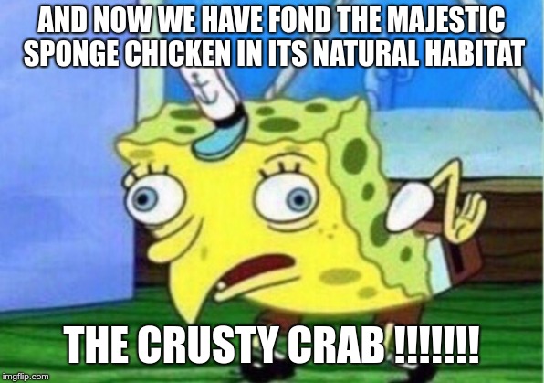 Mocking Spongebob | AND NOW WE HAVE FOND THE MAJESTIC SPONGE CHICKEN IN ITS NATURAL HABITAT; THE CRUSTY CRAB !!!!!!! | image tagged in memes,mocking spongebob | made w/ Imgflip meme maker