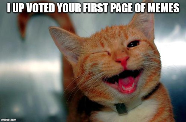 winky kitty | I UP VOTED YOUR FIRST PAGE OF MEMES | image tagged in winky kitty | made w/ Imgflip meme maker
