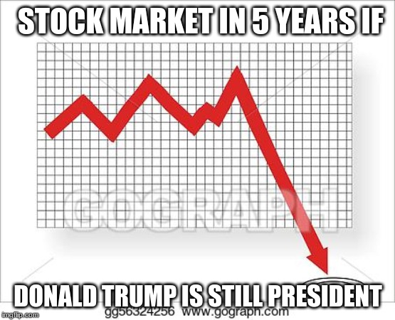 Going down | STOCK MARKET IN 5 YEARS IF; DONALD TRUMP IS STILL PRESIDENT | image tagged in going down | made w/ Imgflip meme maker