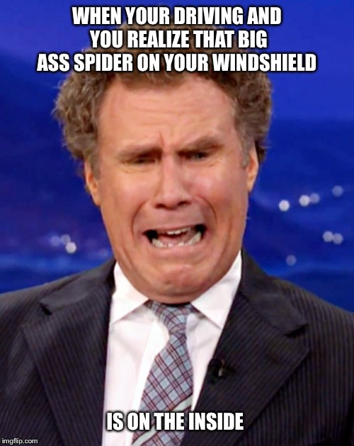 Will Ferrell Crying |  WHEN YOUR DRIVING AND YOU REALIZE THAT BIG ASS SPIDER ON YOUR WINDSHIELD; IS ON THE INSIDE | image tagged in will ferrell crying,will ferrell meme,spider,driving,windshield,bugs | made w/ Imgflip meme maker