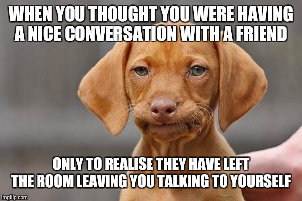 Dissapointed puppy | WHEN YOU THOUGHT YOU WERE HAVING A NICE CONVERSATION WITH A FRIEND; ONLY TO REALISE THEY HAVE LEFT THE ROOM LEAVING YOU TALKING TO YOURSELF | image tagged in dissapointed puppy | made w/ Imgflip meme maker