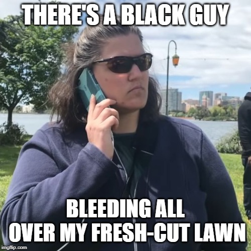 Woman calling police | THERE'S A BLACK GUY BLEEDING ALL OVER MY FRESH-CUT LAWN | image tagged in woman calling police | made w/ Imgflip meme maker