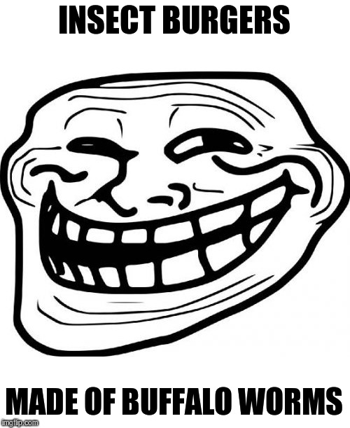 Troll Face Meme | INSECT BURGERS MADE OF BUFFALO WORMS | image tagged in memes,troll face | made w/ Imgflip meme maker