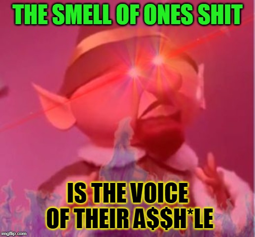 What does it say? | THE SMELL OF ONES SHIT; IS THE VOICE OF THEIR A$$H*LE | image tagged in elf practice extreme,stink,shit,bad smell | made w/ Imgflip meme maker