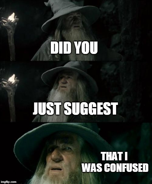 Confused Gandalf Meme | DID YOU; JUST SUGGEST; THAT I WAS CONFUSED | image tagged in memes,confused gandalf | made w/ Imgflip meme maker