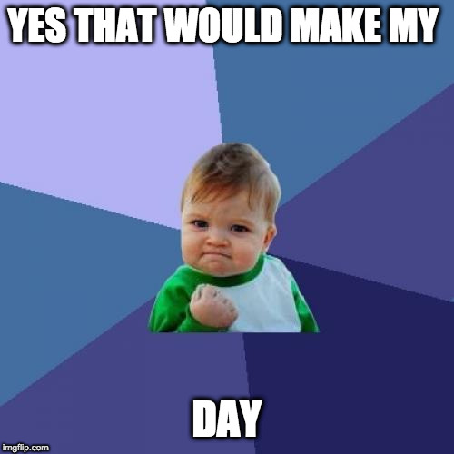 Success Kid Meme | YES THAT WOULD MAKE MY DAY | image tagged in memes,success kid | made w/ Imgflip meme maker