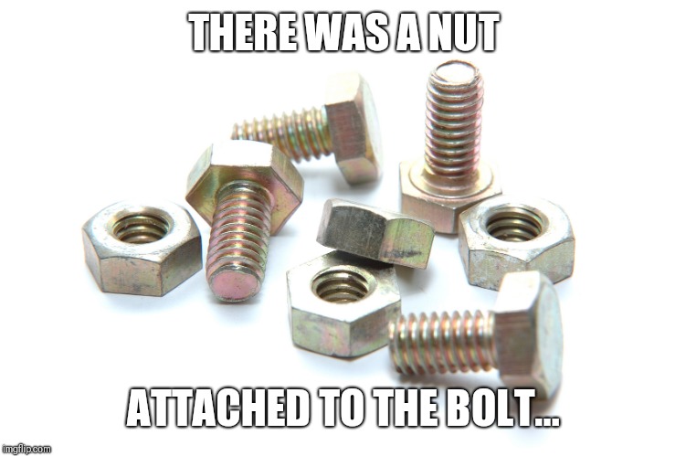 Nuts and bolts | THERE WAS A NUT; ATTACHED TO THE BOLT... | image tagged in nuts and bolts | made w/ Imgflip meme maker