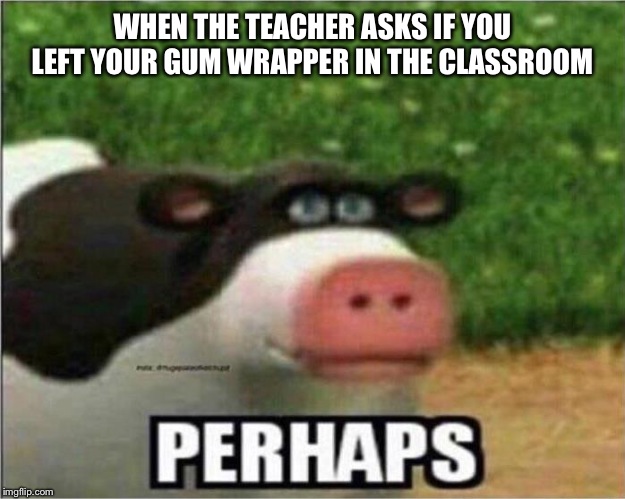Perhaps Cow | WHEN THE TEACHER ASKS IF YOU LEFT YOUR GUM WRAPPER IN THE CLASSROOM | image tagged in perhaps cow | made w/ Imgflip meme maker