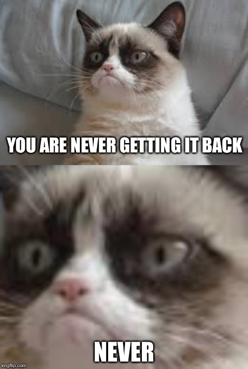 YOU ARE NEVER GETTING IT BACK NEVER | image tagged in grumpy cat | made w/ Imgflip meme maker