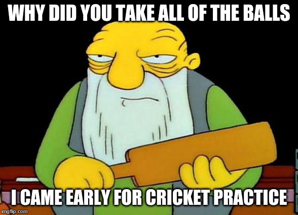 That's a paddlin' | WHY DID YOU TAKE ALL OF THE BALLS; I CAME EARLY FOR CRICKET PRACTICE | image tagged in memes,that's a paddlin' | made w/ Imgflip meme maker