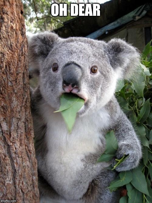 Surprised Koala Meme | OH DEAR | image tagged in memes,surprised koala | made w/ Imgflip meme maker