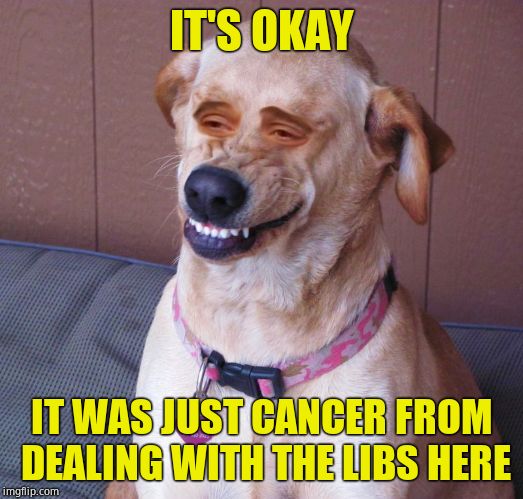 Dog smile | IT'S OKAY IT WAS JUST CANCER FROM DEALING WITH THE LIBS HERE | image tagged in dog smile | made w/ Imgflip meme maker