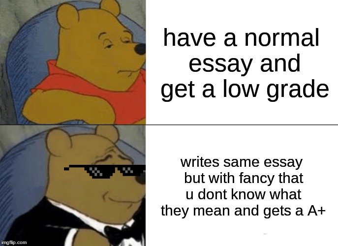 Tuxedo Winnie The Pooh Meme | have a normal essay and get a low grade; writes same essay but with fancy that u dont know what they mean and gets a A+ | image tagged in memes,tuxedo winnie the pooh | made w/ Imgflip meme maker