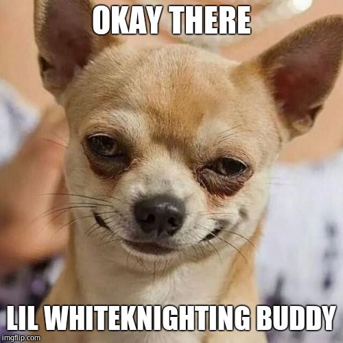 Smirking Dog | OKAY THERE LIL WHITEKNIGHTING BUDDY | image tagged in smirking dog | made w/ Imgflip meme maker