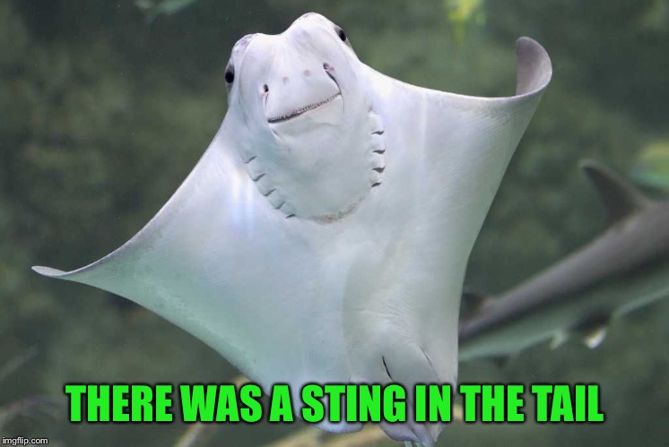 Happy Stingray | THERE WAS A STING IN THE TAIL | image tagged in happy stingray | made w/ Imgflip meme maker