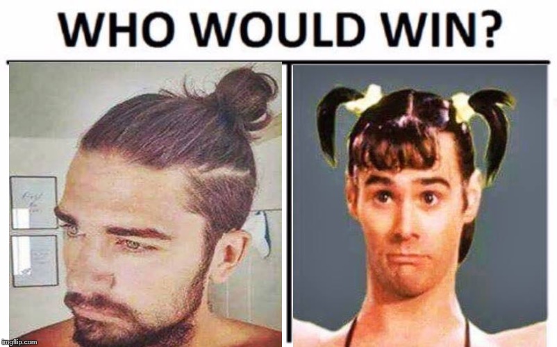 Man Bun or Man Tails? | image tagged in memes,who would win | made w/ Imgflip meme maker
