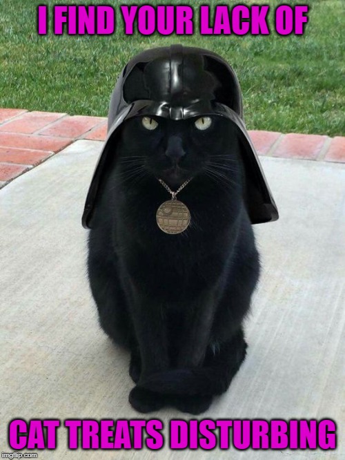Don't make me slash you to death! | I FIND YOUR LACK OF; CAT TREATS DISTURBING | image tagged in cat darth vader,memes,cats,funny,darth vader,feed me seymour | made w/ Imgflip meme maker
